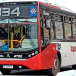 linea-134
