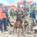 el-ministerio-de-defensa-publico-fotos-del-perro-4D47E42V4VDMRMZ4ZOCMVWQYYI