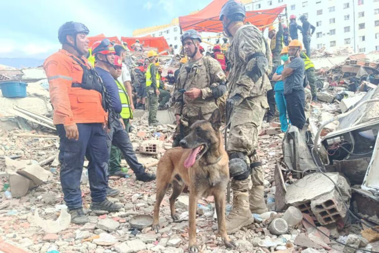 el-ministerio-de-defensa-publico-fotos-del-perro-4D47E42V4VDMRMZ4ZOCMVWQYYI