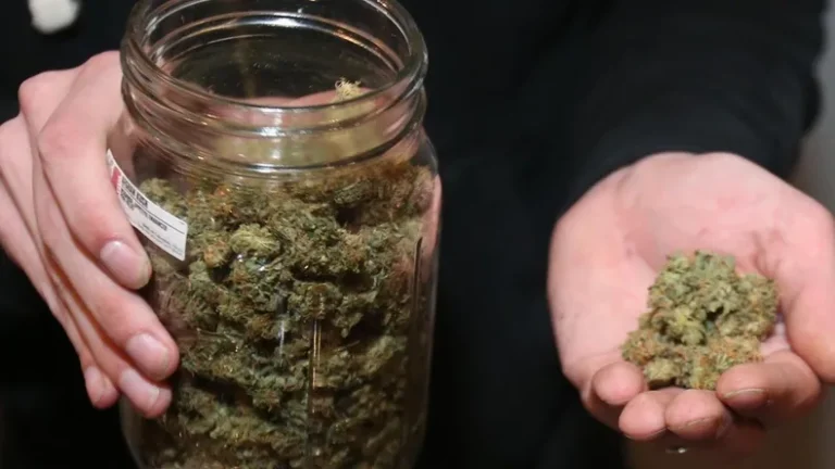 marihuana-frasco-thc-cogollos-cannabis