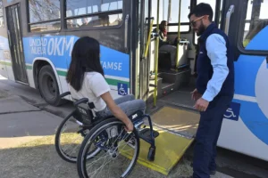personas-con-discapacidad-podran-viajar-en-colectivos-y-trenes-sin-presentar-el-certificado-fisico