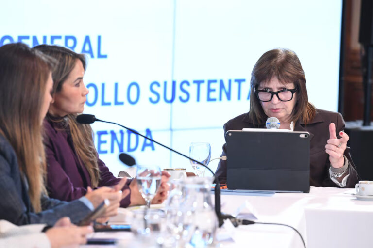 la-senadora-nacional-patricia-bullrich-la-libertad-avanza-acelera-el-tratamiento-de-la-ley-de-salud-mental-foto-mario-mosca-comunicacion-institucional-senado-ICETXK6BCFH5ZM6IRYHECIDK2A
