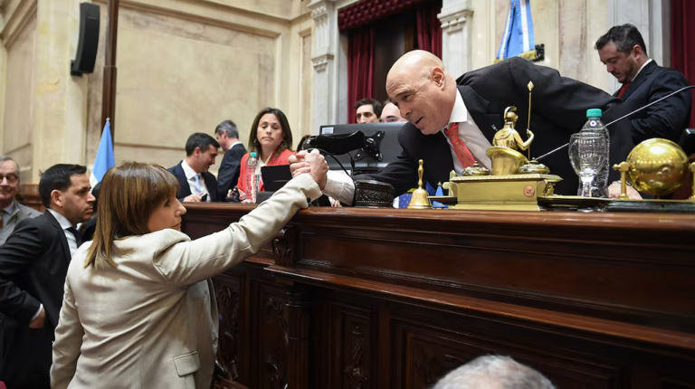 senadores-libertarios-patricia-bullrich-y-bartolome-abdala-se-preparan-para-la-sesion-de-este-jueves